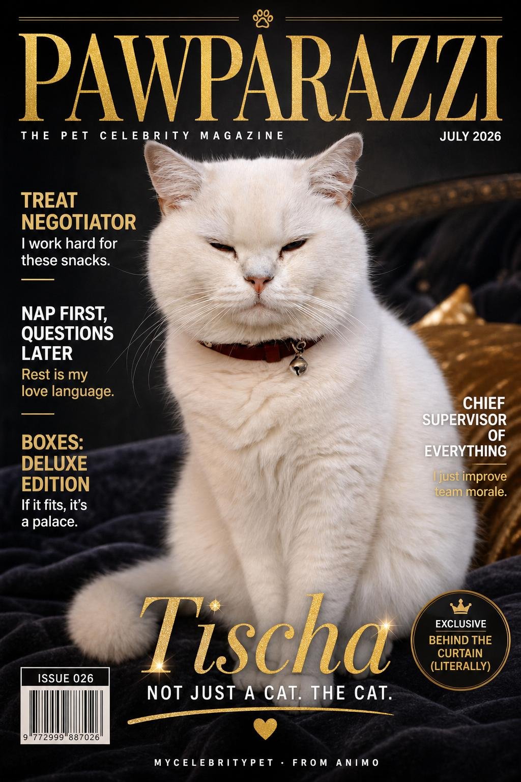 Tischa the cat starring on a celebrity magazine cover